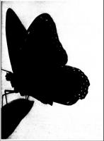 1982 CMAJ JUL XANAX 2
