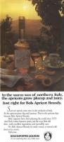 1980 Maclean's Brandy