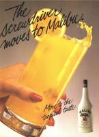 1984 Maclean's Rum