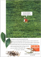 1991 Maclean's Salada 1