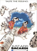 1995 Maclean's Bacardi 10