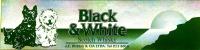 1990 Semana Whisky Black & White 8
