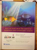2001 SAJP Efexor XR