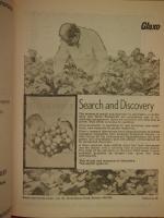 1977 IJP Betamethasone
