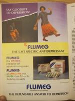 1993 IJP Flumeg