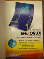 2001 TJP Efexor XR