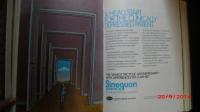 1973 AJP Sinequan